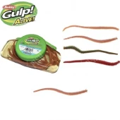 GULP! ALIVE! SANDWORM BROWN FLECK 6"/ 15CM 14 ST. (29875)