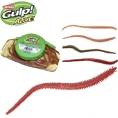 GULP! ALIVE! SANDWORM BLOODY   6"/ 15CM 14 ST. (30050)