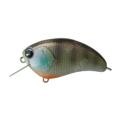 SQUARE BILL # 103 (18179)