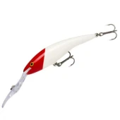 Воблер Rapala Deep Tail Dancer 90 mm13g 6m #RH (TDD09RH)