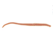 GULP! ALIVE! SANDWORM NATURAL 6"/ 15CM 14 ST. (30052)