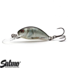 Воблер Salmo Hornet Sinking Real Dace 5cm