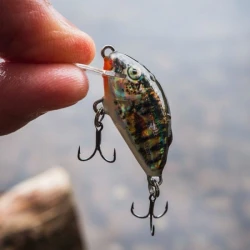 Искусственная приманка Salmo Tiny Sinking 3cm Diving Beetle