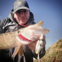 Воблер Salmo Frisky Deep Runner Spot Bait 7cm