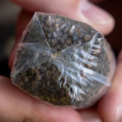 Запасные пакеты ПВА Avid Carp Transfer Solid PVA Bag X-Small 50x100m